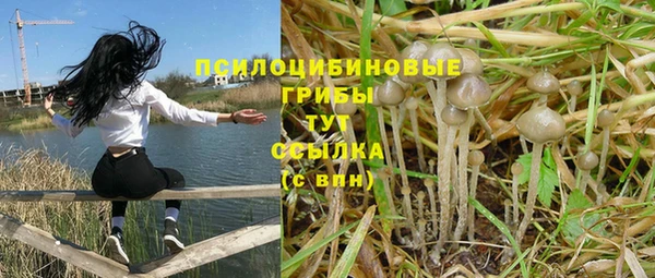 крисы Аркадак