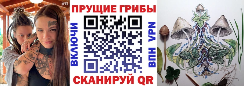 наркота  Спас-Деменск  Галлюциногенные грибы GOLDEN TEACHER 